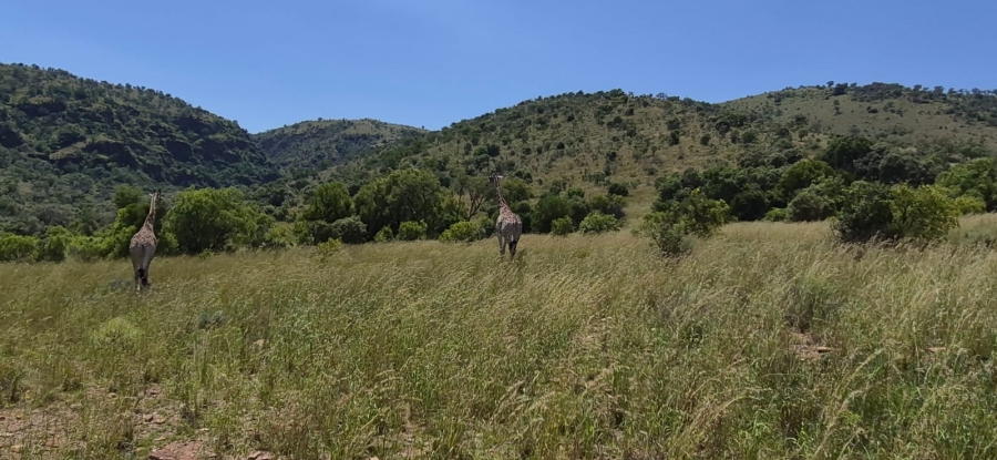 11 Bedroom Property for Sale in Groot Marico North West